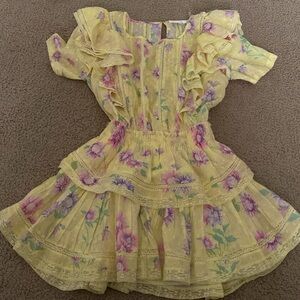 Natasha Ruffle Mini Fit and Flare Dress